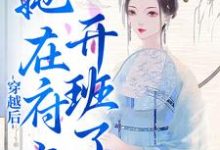 主角徐婉宗肇小说穿越后,她在府上开班了免费阅读-读书翁