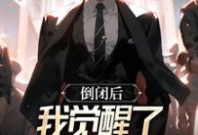 倒闭后，我觉醒了超级神豪系统小说阅读，倒闭后，我觉醒了超级神豪系统完结版-读书翁