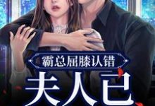 在线寻找霸总屈膝认错,夫人已挫骨扬灰小说的无删减版本-读书翁