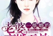 完结版《一纸婚约：老婆，离婚无效》在线免费阅读-读书翁