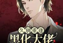 哪里能找到久别重逢：黑化大佬人设崩塌了小说的全部章节？-读书翁