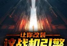 让你改装,这战机引擎什么鬼?小说最新更新在哪里?免费在线看-读书翁