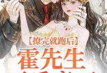 求推荐可以免费阅读撩完就跑后，霍先生不乐意了小说的网站-读书翁