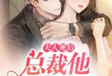 夫人死后总裁他崩溃了小说的无弹窗阅读体验，寻找免费阅读网站-读书翁