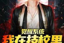 觉醒系统,我在技校里成剑神小说最新更新在哪里?免费在线看-读书翁