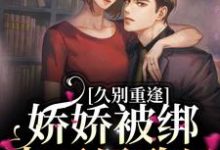 小说《久别重逢:娇娇被绑去了民政局》章节免费阅读-读书翁