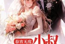 春宵无度：小叔宠我上天小说最新章节在哪里可以读到？-读书翁