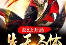 玄幻：开局先天圣体叶微尘小说在线章节免费阅读-读书翁