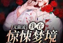 无限流：我在惊悚梦境当bug小说，无限流：我在惊悚梦境当bug青淮季以念-读书翁