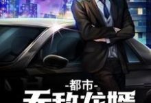 都市无敌龙婿小说完结版章节免费阅读-读书翁