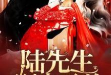 陆先生，别来无恙小说，陆先生，别来无恙在线阅读-读书翁