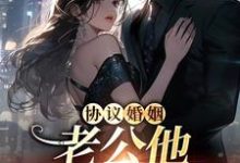 协议婚姻,老公他不想离婚代辞成澈在线章节免费阅读-读书翁