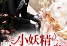 小妖精疯狂倒追我小说完结版章节免费阅读-读书翁