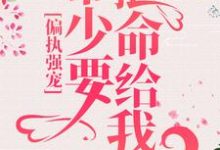 苏允诺君少卿小说在哪里可以看-读书翁