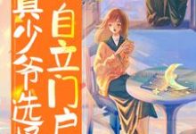 假少年被团宠,真少爷选择自立门户小说有没有完整的免费版本在线阅读?-读书翁