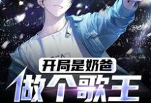 已完结小说《开局是奶爸，做个歌王挣奶粉钱》在线章节阅读-读书翁
