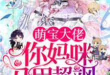 小说《萌宝大佬，你妈咪马甲超飒》章节阅读-读书翁