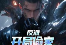 反派:开局偷家,龙王成为一血这本小说怎么样?免费在线阅读试试-读书翁