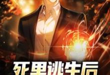 已完结小说《死里逃生后，我觉醒了序列》在线章节阅读-读书翁