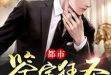 都市鉴宝狂圣（秦昊雯静）在线免费阅读-读书翁