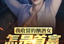 我收留的酗酒女,怎是首富继承人?免费阅读,我收留的酗酒女,怎是首富继承人?林海-读书翁