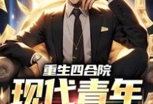 已完结小说《重生四合院:现代青年的崛起》章节免费阅读-读书翁