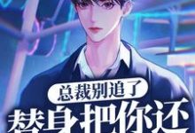 完结版《总裁别追了，替身把你还给白月光了》章节阅读-读书翁