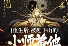 哪里能找到重生后,被赶下山的小师弟他黑化了小说的全部章节?-读书翁