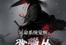 氪命系统觉醒,变强从掠杀开始小说无弹窗阅读的网站推荐-读书翁