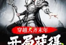 完结版《穿越大齐末年,开局获得劈柴技能》免费阅读-读书翁