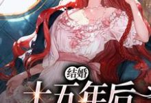 结婚十五年后,我离婚了小说的无弹窗阅读体验,寻找免费阅读网站-读书翁