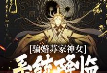 完结版《骗婚苏家神女,系统降临上古神瞳》在线免费阅读-读书翁