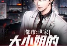 求都市：世家大小姐的漫漫追夫路小说的全文免费阅读链接-读书翁