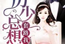 沐依依厉睿丞厉诗妍小说在线章节免费阅读（厉少总想套路我无弹窗无删减）-读书翁