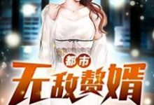 都市无敌赘婿小说无弹窗阅读的网站推荐-读书翁