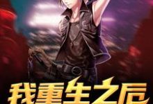 完结版《我重生之后扮猪吃虎》在线免费阅读-读书翁