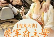 宠妾灭妻？将军府主母她彻底摆了小说，宠妾灭妻？将军府主母她彻底摆了章节在线阅读-读书翁