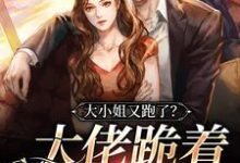 大小姐又跑了?大佬跪着哄回家最新章节,大小姐又跑了?大佬跪着哄回家章节在线阅读-读书翁