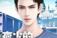 完结版《夜少的追妻路》章节阅读-读书翁