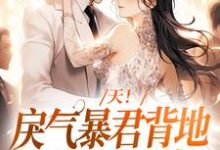 小说《天!戾气暴君背地里卑微哄妻》章节阅读-读书翁