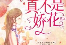 少帅，夫人真不是娇花！小说最新更新在哪里？免费在线看-读书翁