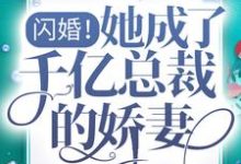 完结版《闪婚!她成了千亿总裁的娇妻》章节阅读-读书翁