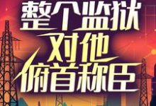 已完结小说《出狱那天，整个监狱对他俯首称臣》最新章节-读书翁