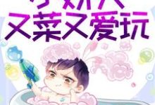 完整版的撩惹无度：小娇夫又菜又爱玩小说在哪里可以免费读到？-读书翁