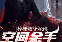 《棒梗姥爷驾到,空间金手指开启!》小说主角张大标秦淮茹章节章节免费在线阅读-读书翁