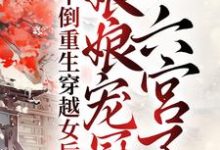 《干倒重生穿越女后,娘娘宠冠六宫了》小说主角宁婉音赫连祁章节章节免费在线阅读-读书翁