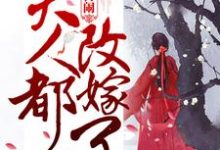 《别再闹!夫人都改嫁了》小说大结局免费试读 萧炎林姝小说-读书翁