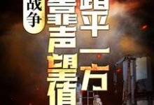 《战争:我靠声望值踏平一方》小说章节在线试读,《战争:我靠声望值踏平一方》最新章节目录-读书翁