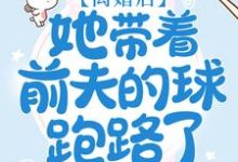 求离婚后，她带着前夫的球跑路了小说的全文免费阅读链接-读书翁