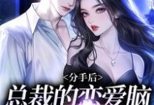 寻找能够免费阅读分手后,总裁的恋爱脑发作了小说的平台-读书翁
